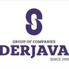 Derjava Group of Companies logo