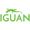 Iguan Systems LLC logo