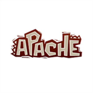 Apache Group LLC logo