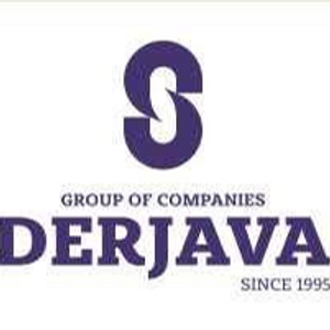 Derjava Group of Companies logo